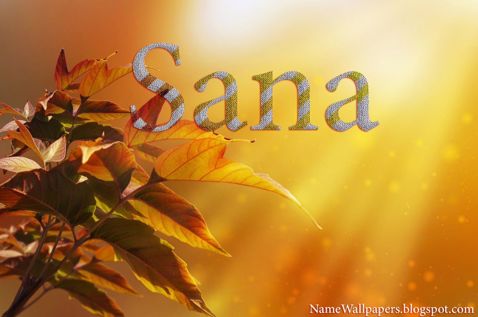Sana Name Wallpaper Hd Download 1600x1062 Wallpaper Teahub Io