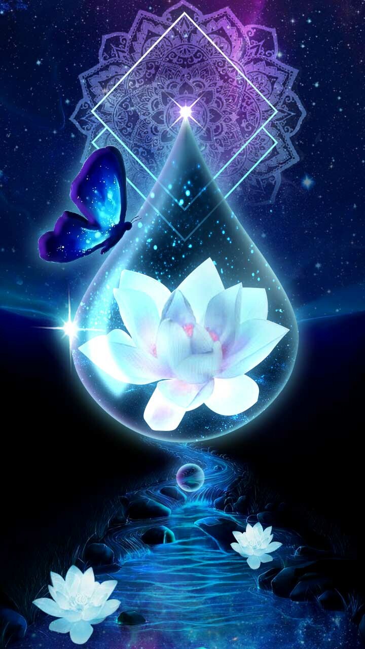 Sacred Lotus - HD Wallpaper 