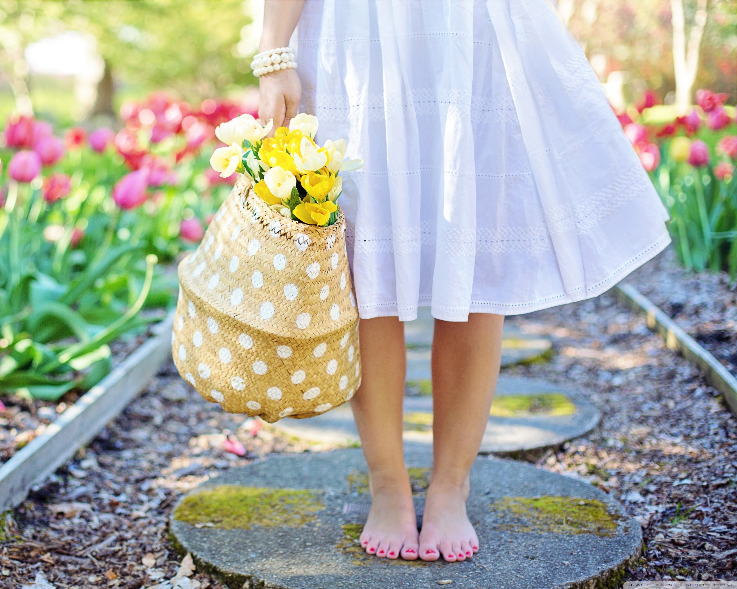 Equinócio De Primavera 2019 - HD Wallpaper 