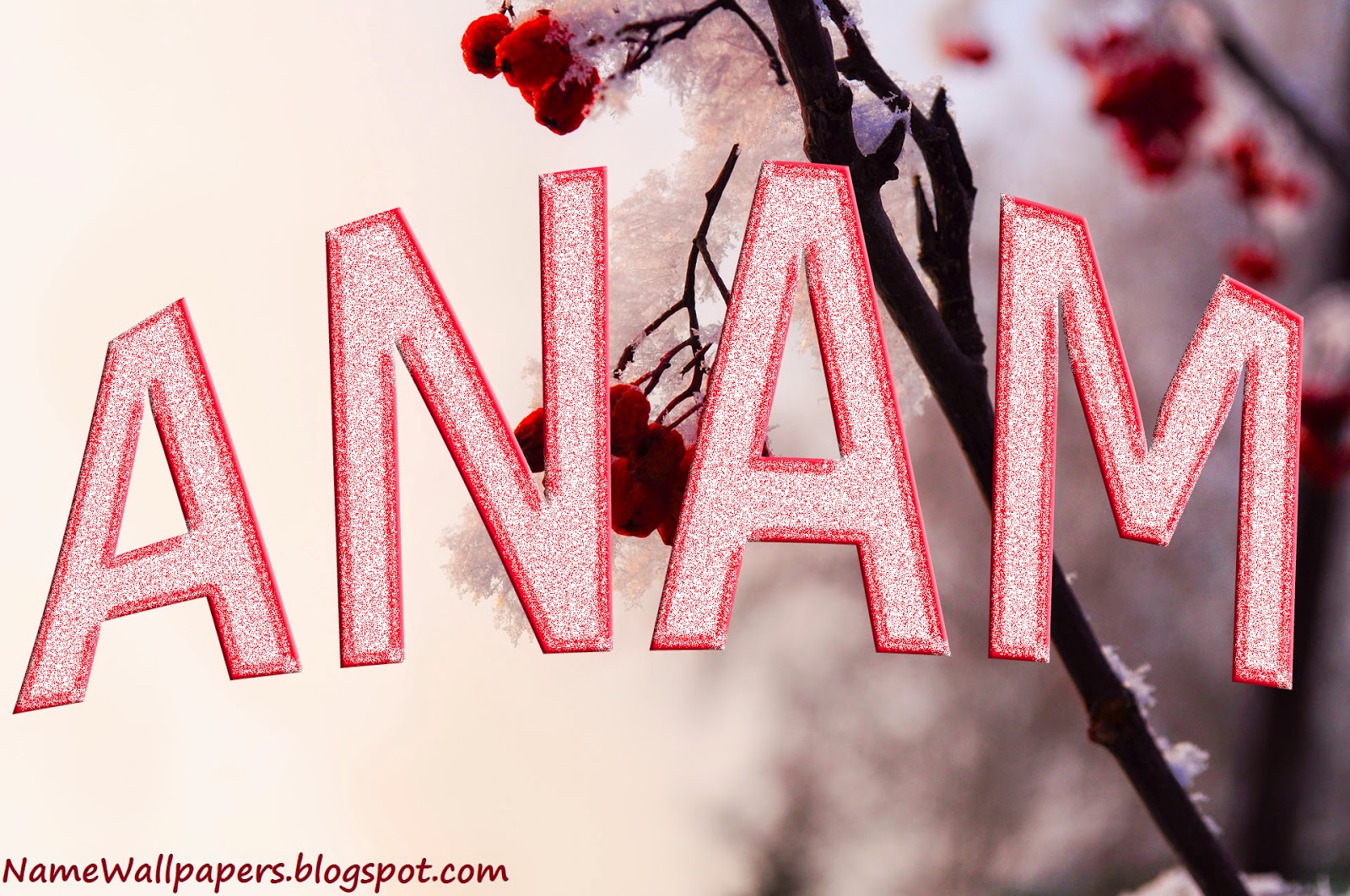Ruchi Name Wallpaper - Meaning Of Anum In Urdu - HD Wallpaper 