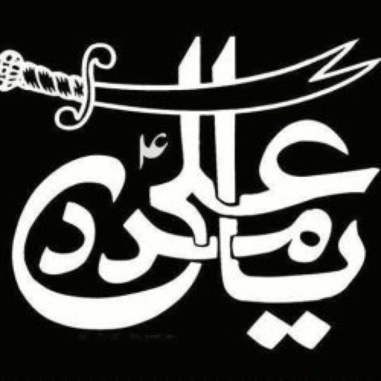Ali Name Hd Wallpaper - Ya Ali Madad Logo - 1252x1252 Wallpaper 