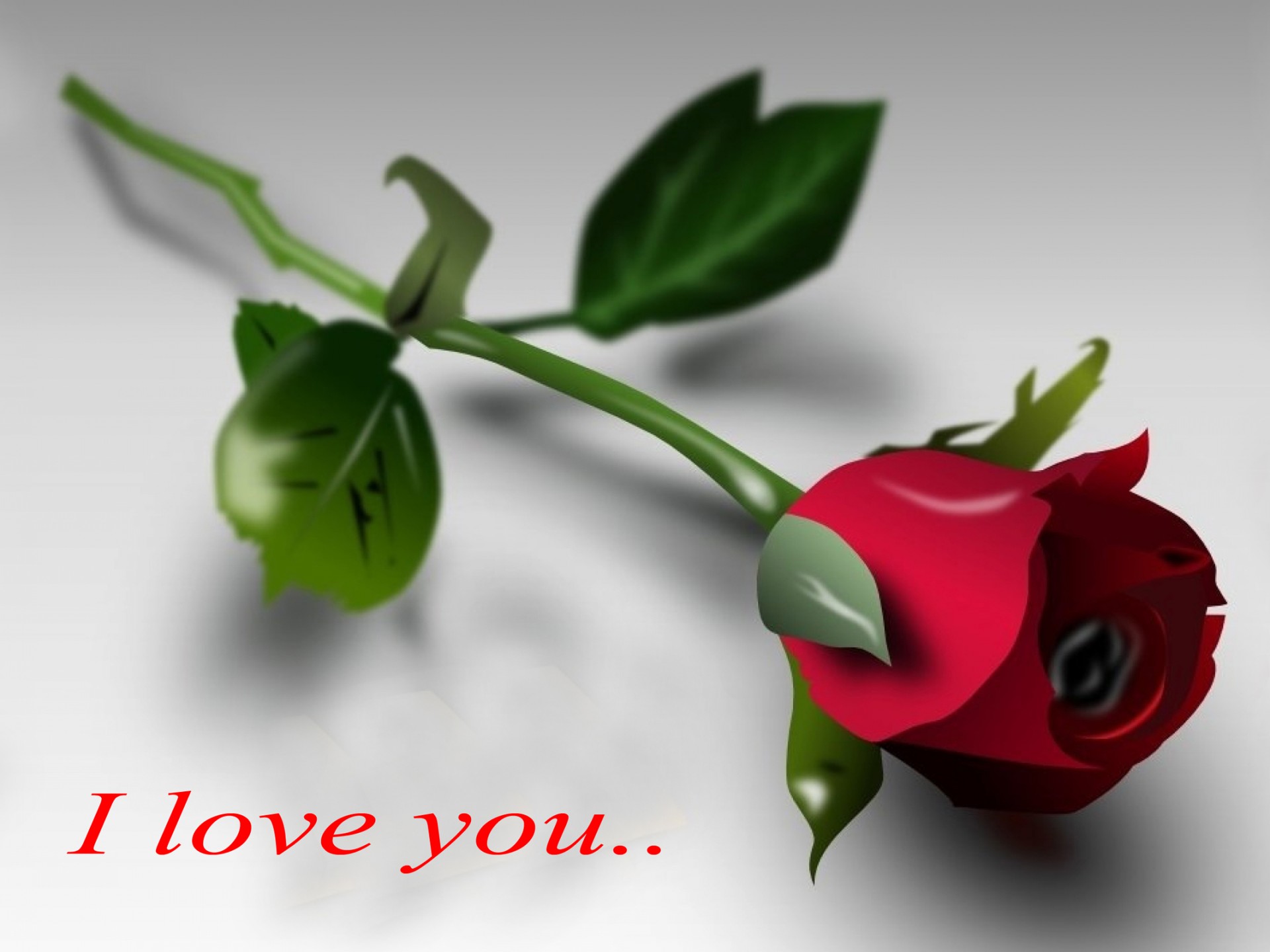 Rose Images 3d Hd - HD Wallpaper 