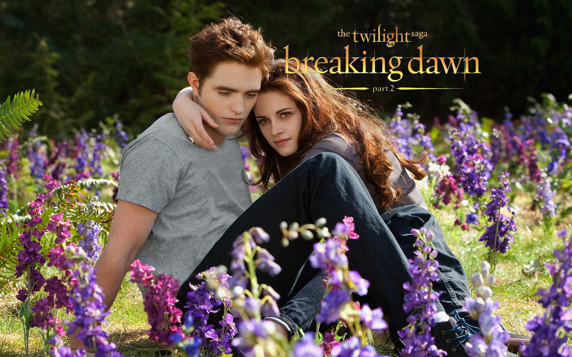 1920x1200, The Twilight Saga - Twilight Breaking Dawn Part 2 - HD Wallpaper 