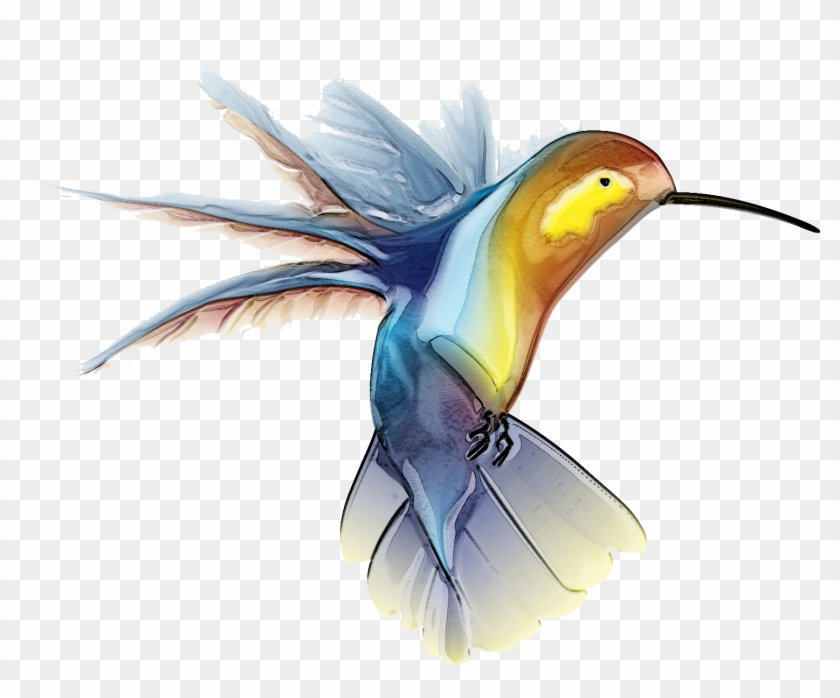 Mansoor Name Wallpaper - Free Hummingbird Clip Art - HD Wallpaper 