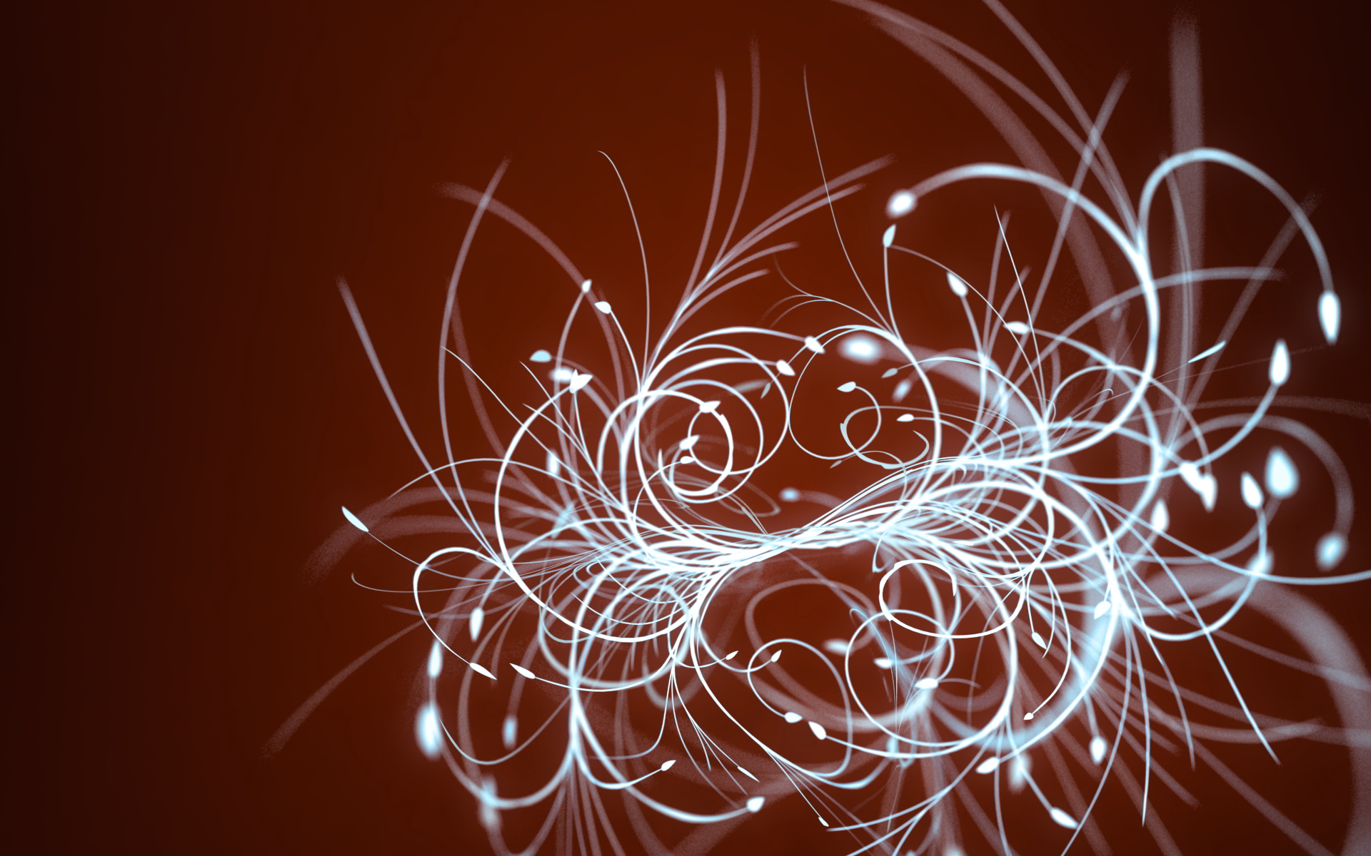 Circle - HD Wallpaper 