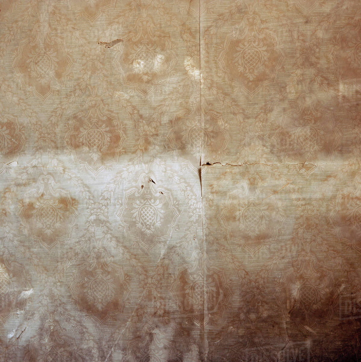 Plywood - HD Wallpaper 
