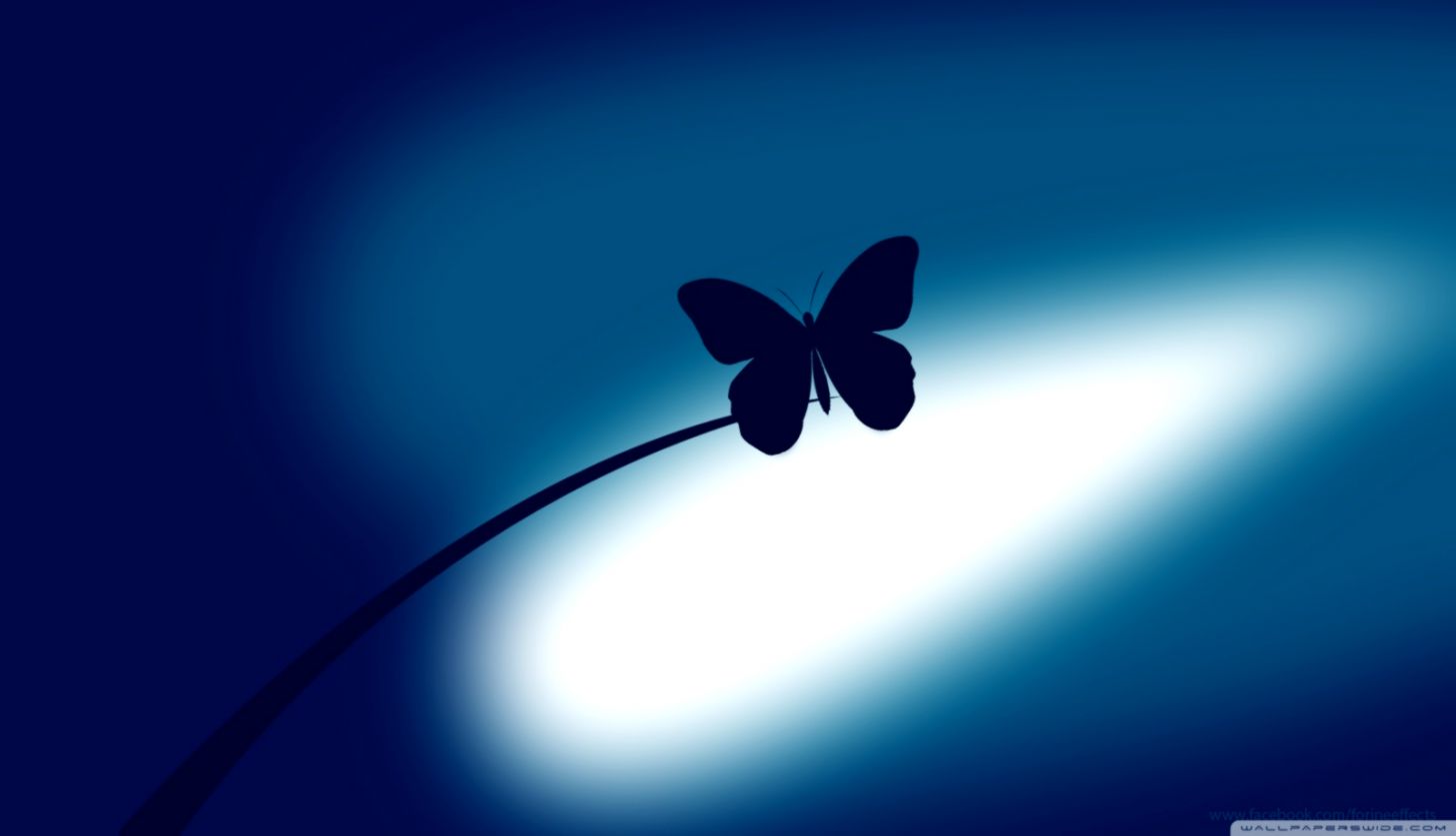 Blue Butterfly ❤ 4k Hd Desktop Wallpaper For 4k Ultra - 4k Ultra Hd Butterfly - HD Wallpaper 
