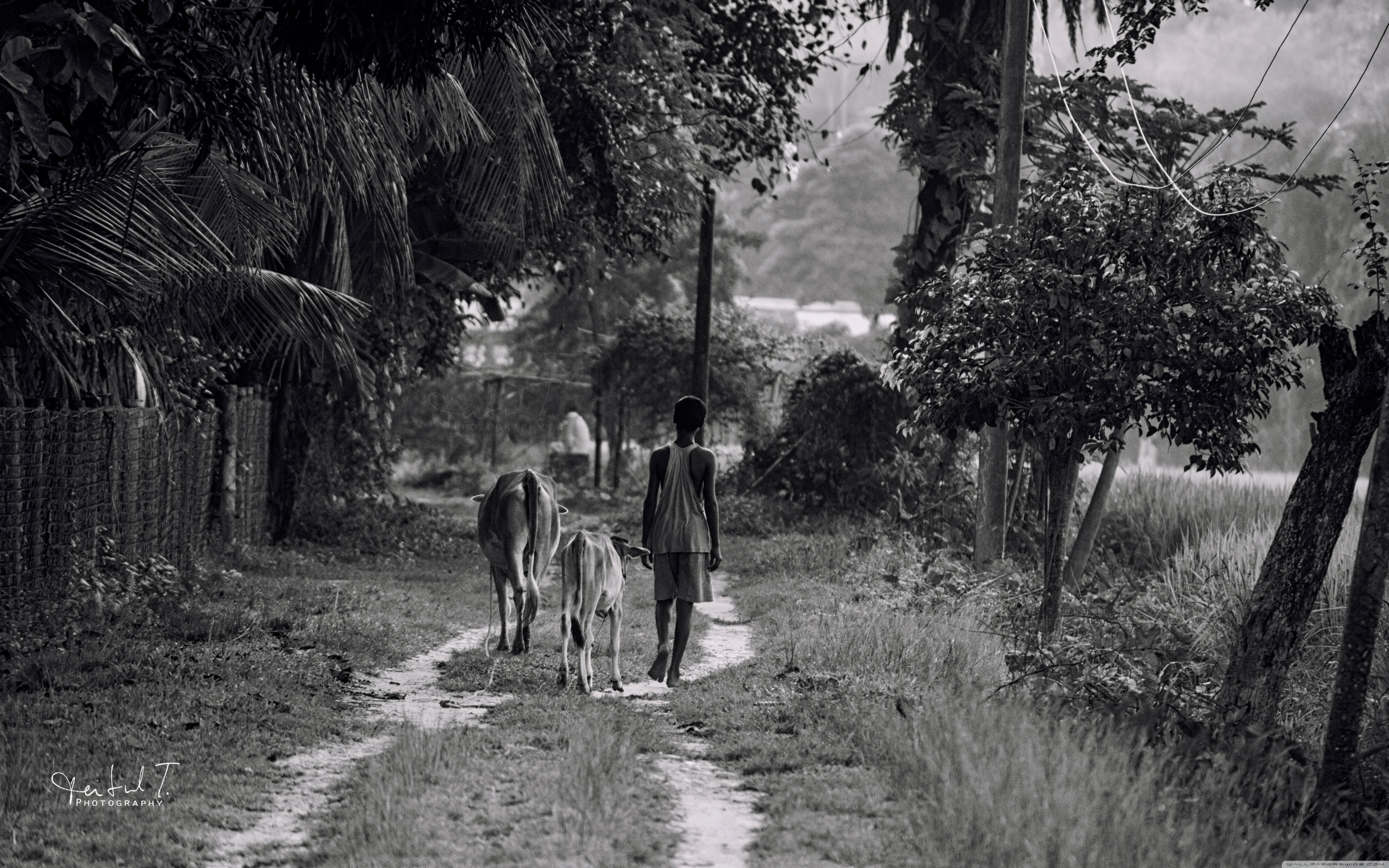 Hd Alone Boy Real - HD Wallpaper 