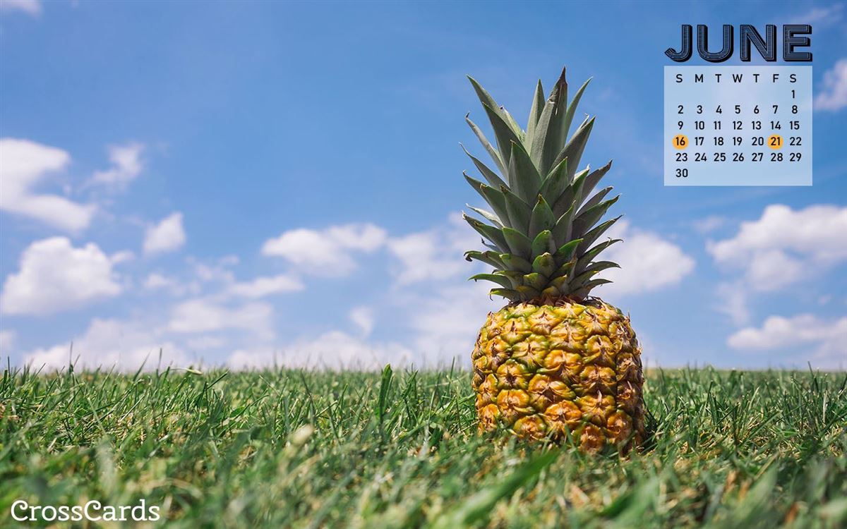 June 2019 - Pineapple - June 2019 Desktop Background - HD Wallpaper 