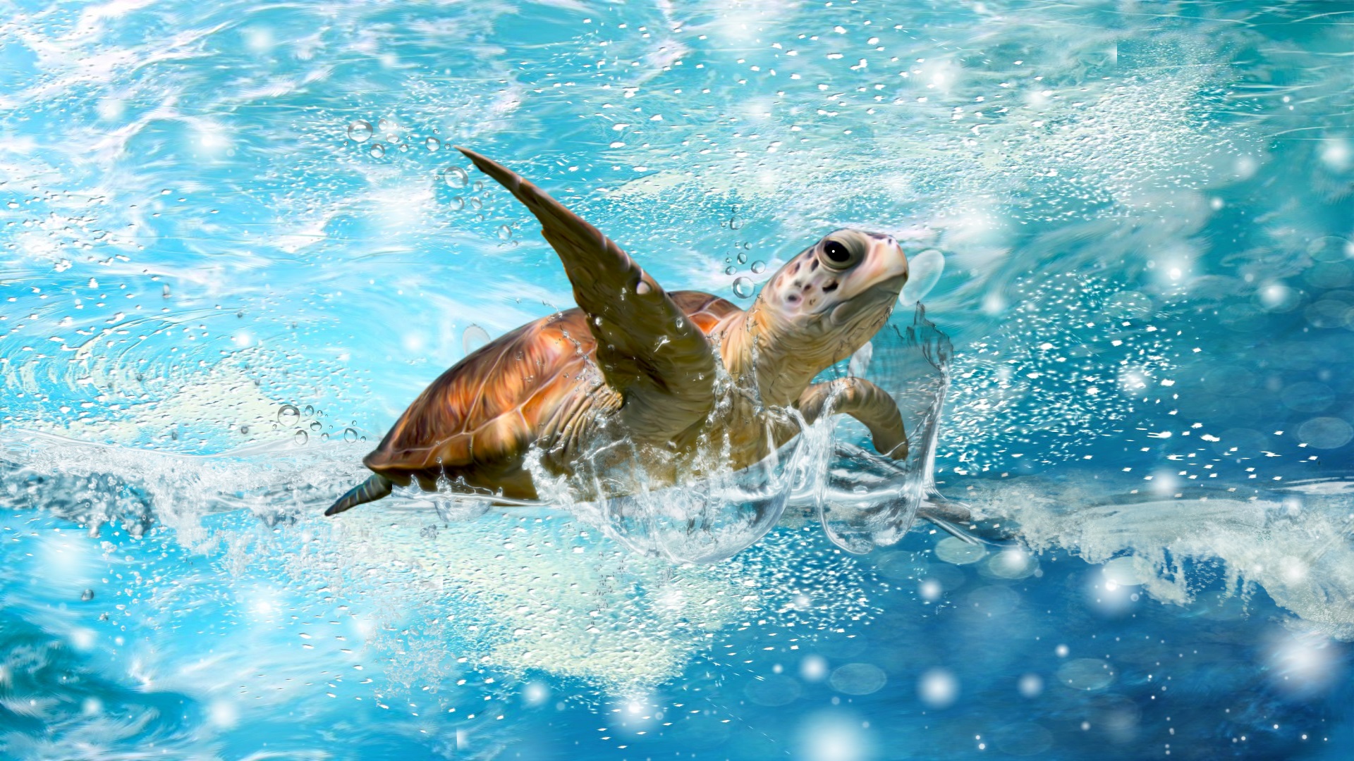 Sea Turtle Wallpaper - HD Wallpaper 