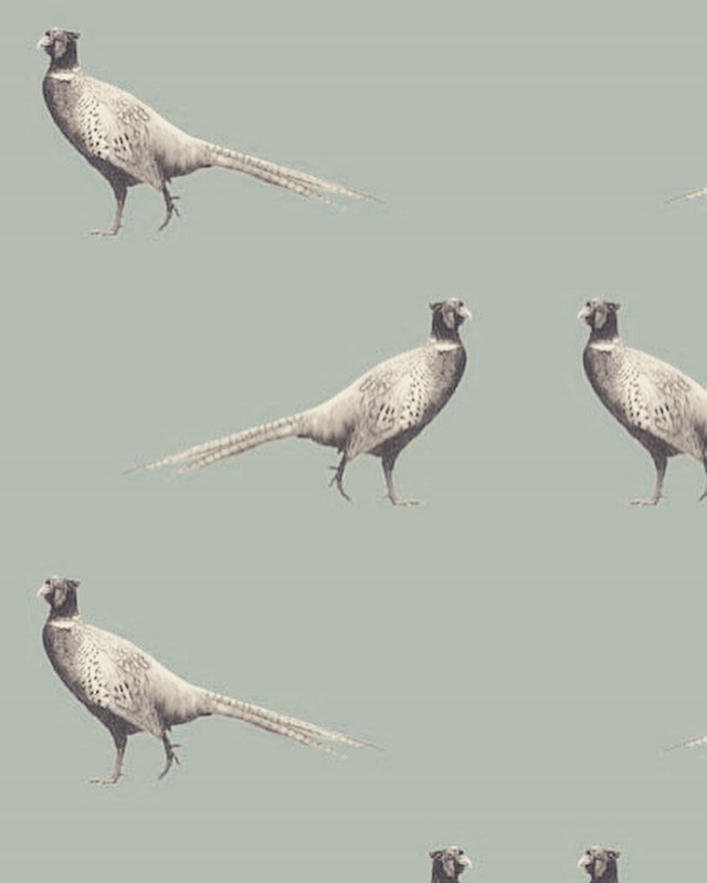 Country Wall Paper - HD Wallpaper 