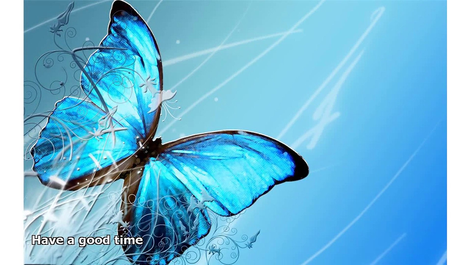 Blue Butterfly Wallpaper - HD Wallpaper 