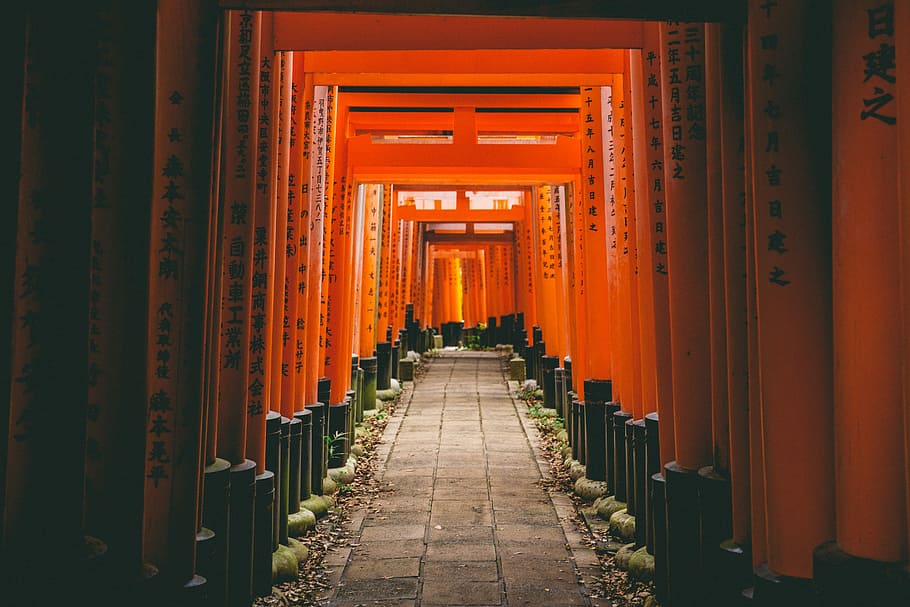 Grey Concrete Pathway With Orange Walls, Fushimi Inari-taisha, - Fushimi Inari Hd - HD Wallpaper 