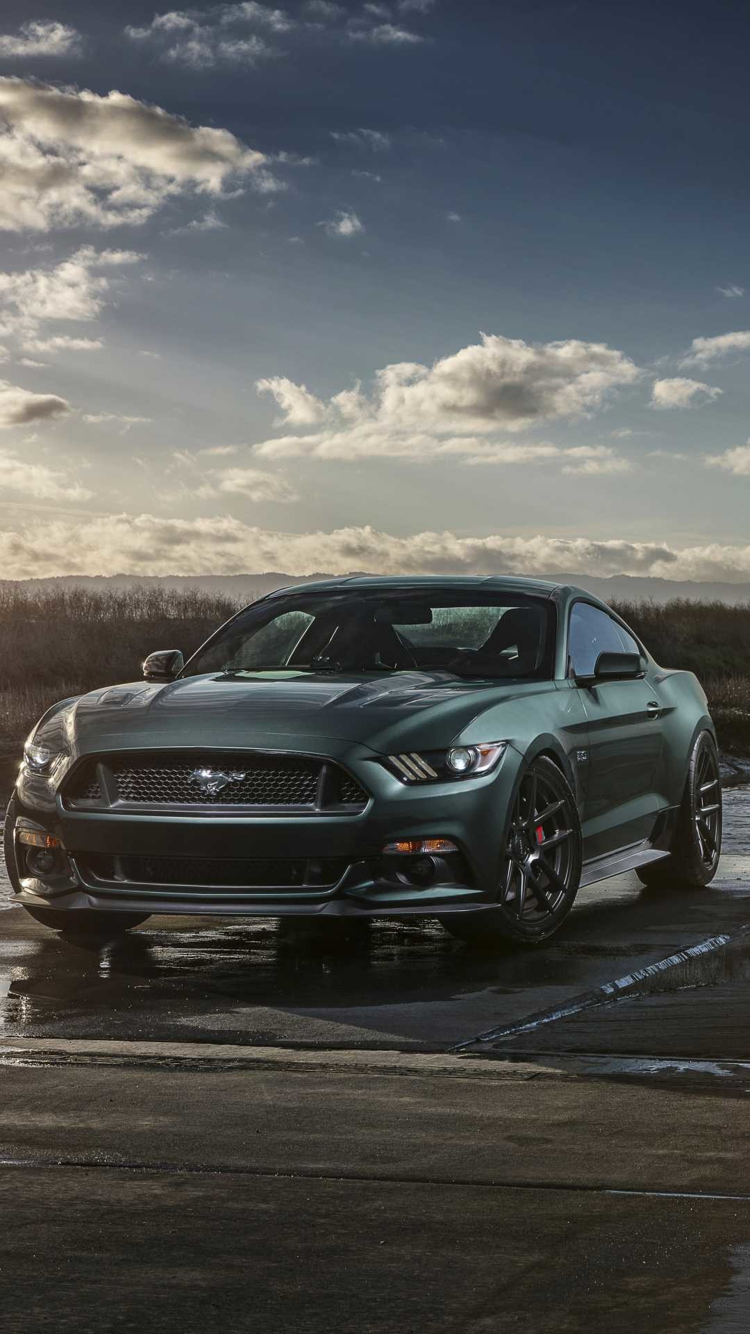 1080x1920, Widescreen For Vehiclesford Mustang Gt Wallpaper - Ford Mustang Wallpaper Phone - HD Wallpaper 