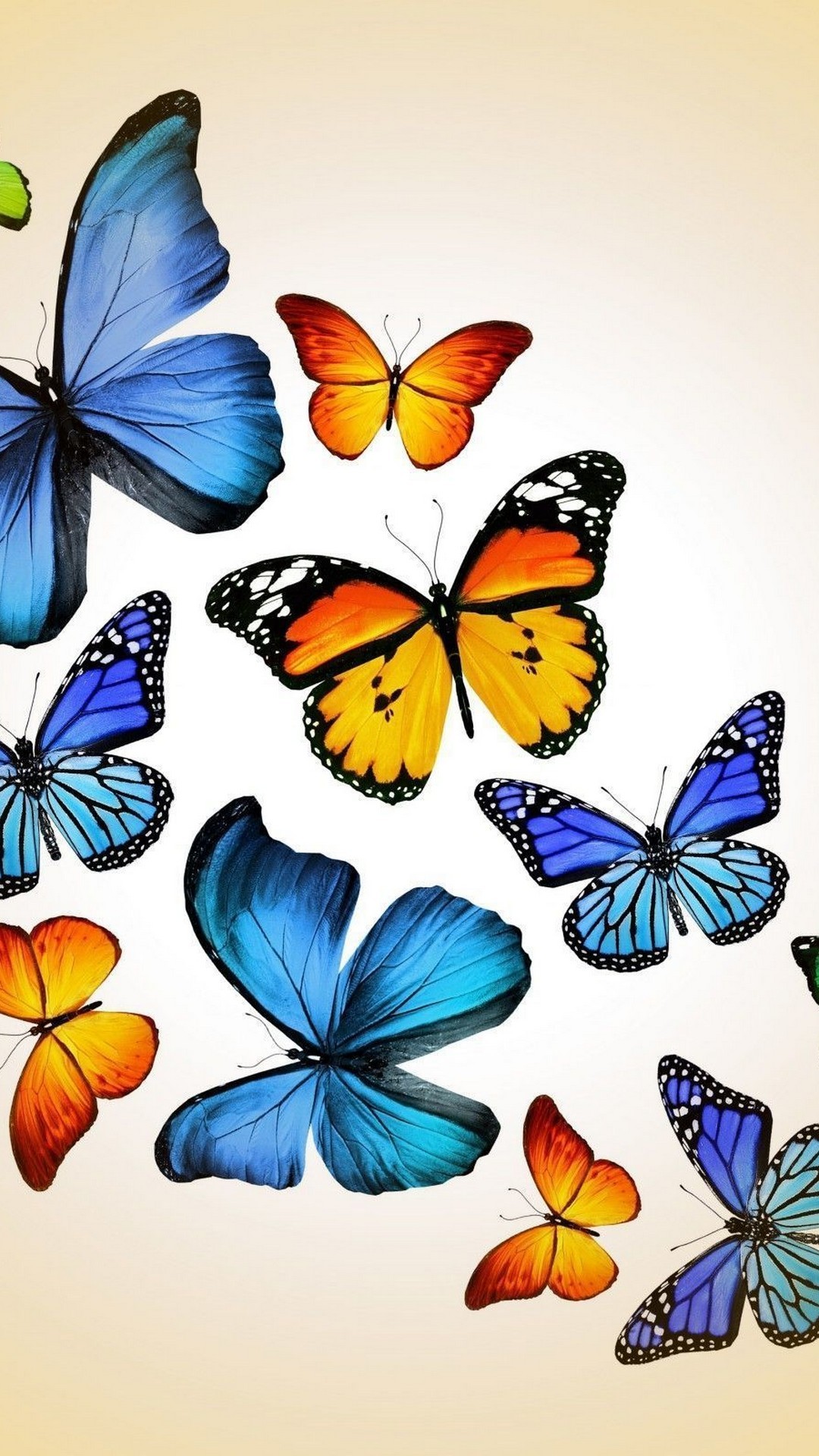 Blue Butterfly Cellphone Wallpaper - Butterfly - HD Wallpaper 