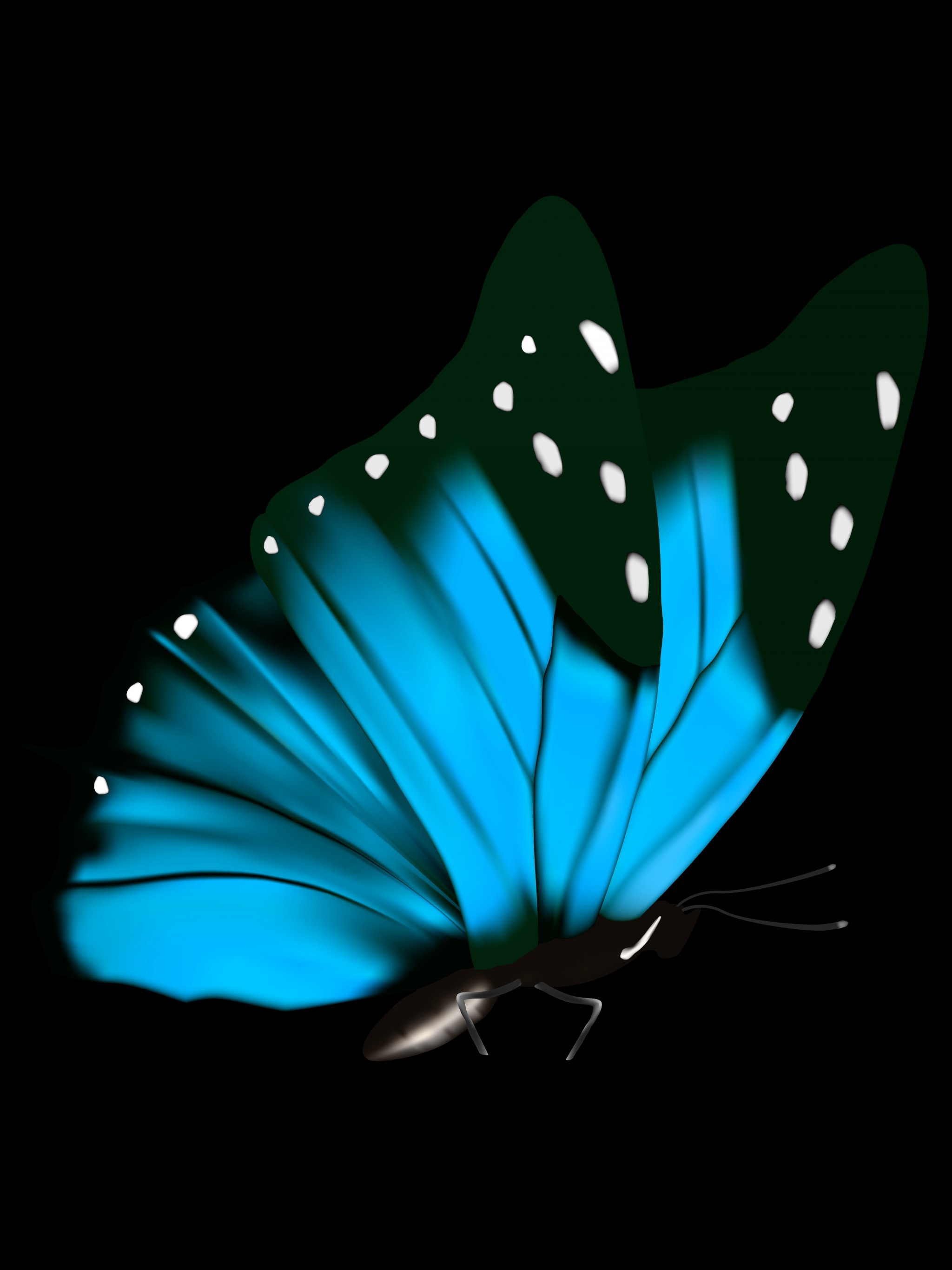 2048x2732, Download Blue Ties And Butterflies 2015, - Transparent Background Butterfly Png Hd - HD Wallpaper 