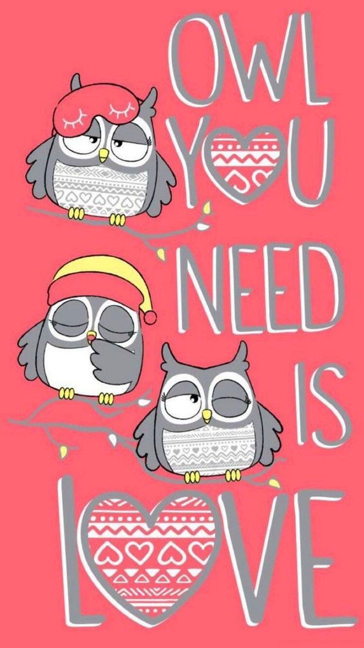Cute Wallpaper Owl - 720x1280 Wallpaper Cute Wallpaper Owl - 720x1280 Wallpaper