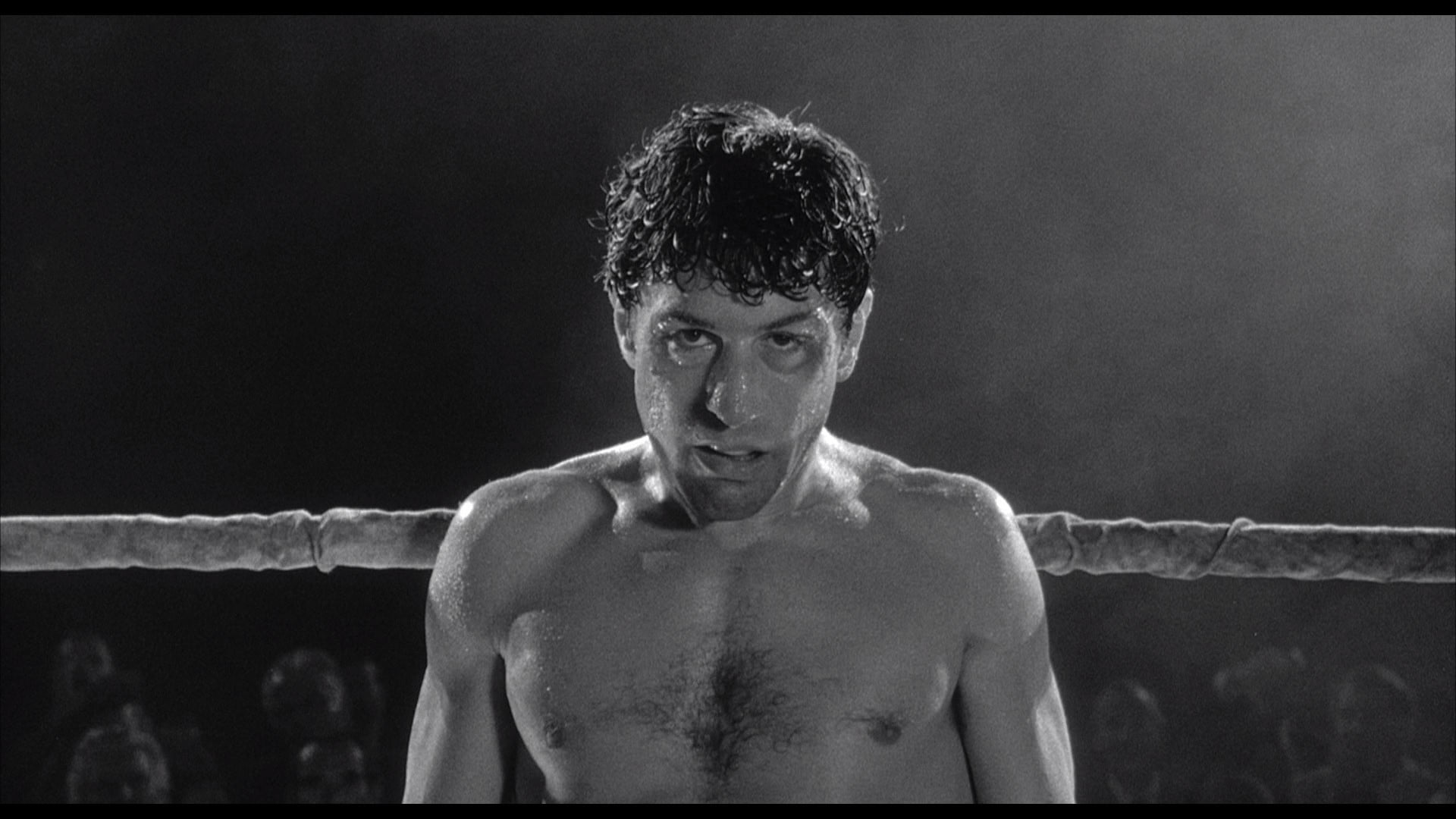 Raging Bull - HD Wallpaper 