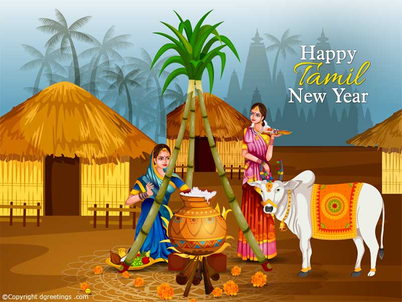 Pongal Celebration With Family - 800x600 Wallpaper 