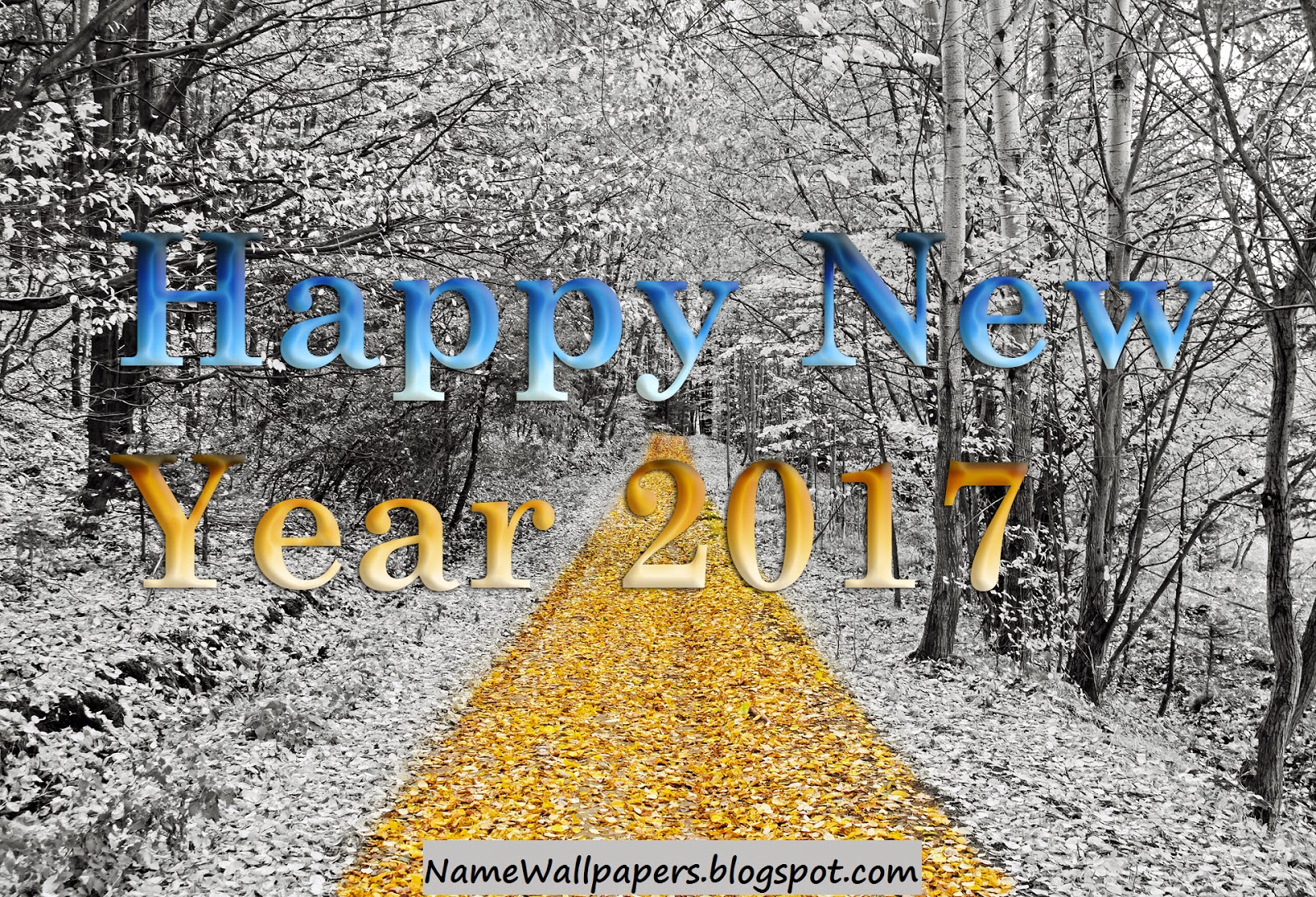 Happy New Year 2017 Hd Wallpapers - Ramsha Name Meaning In Urdu - HD Wallpaper 