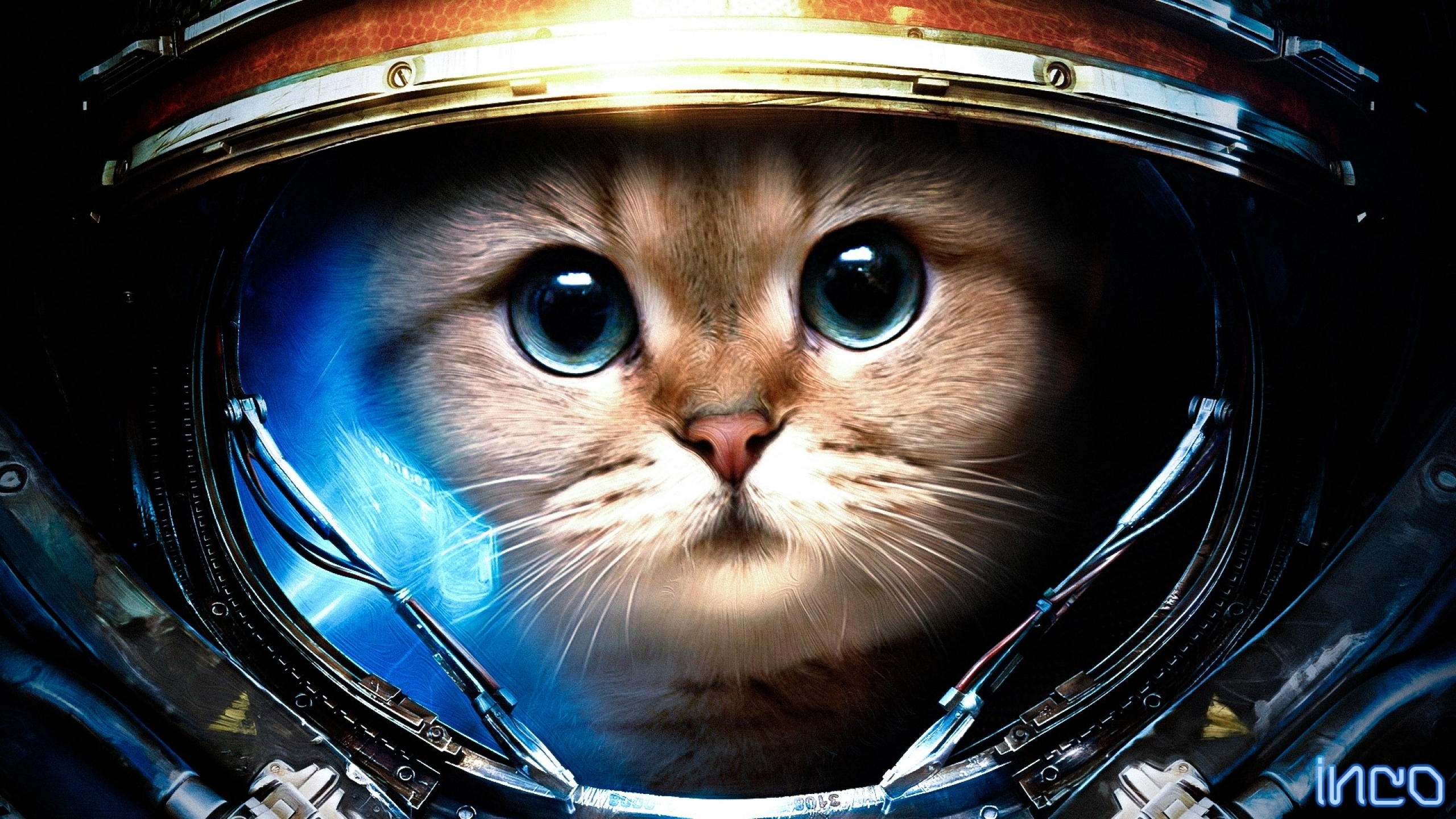Funny Cat Games 36 High Resolution Wallpaper - Space Cat - HD Wallpaper 