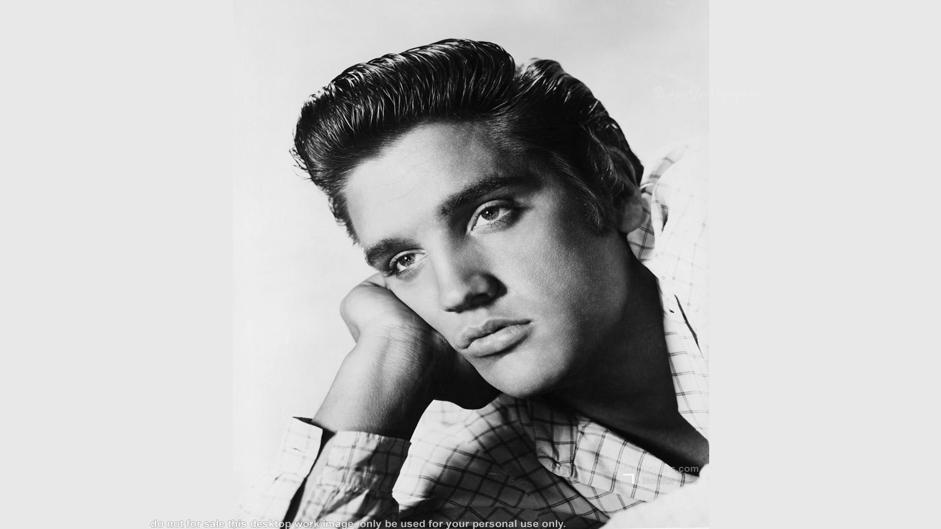 Photography Elvis Presley Portrait - HD Wallpaper 