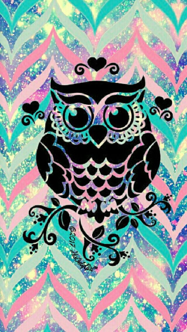 Cute Owl Svg Free - HD Wallpaper 