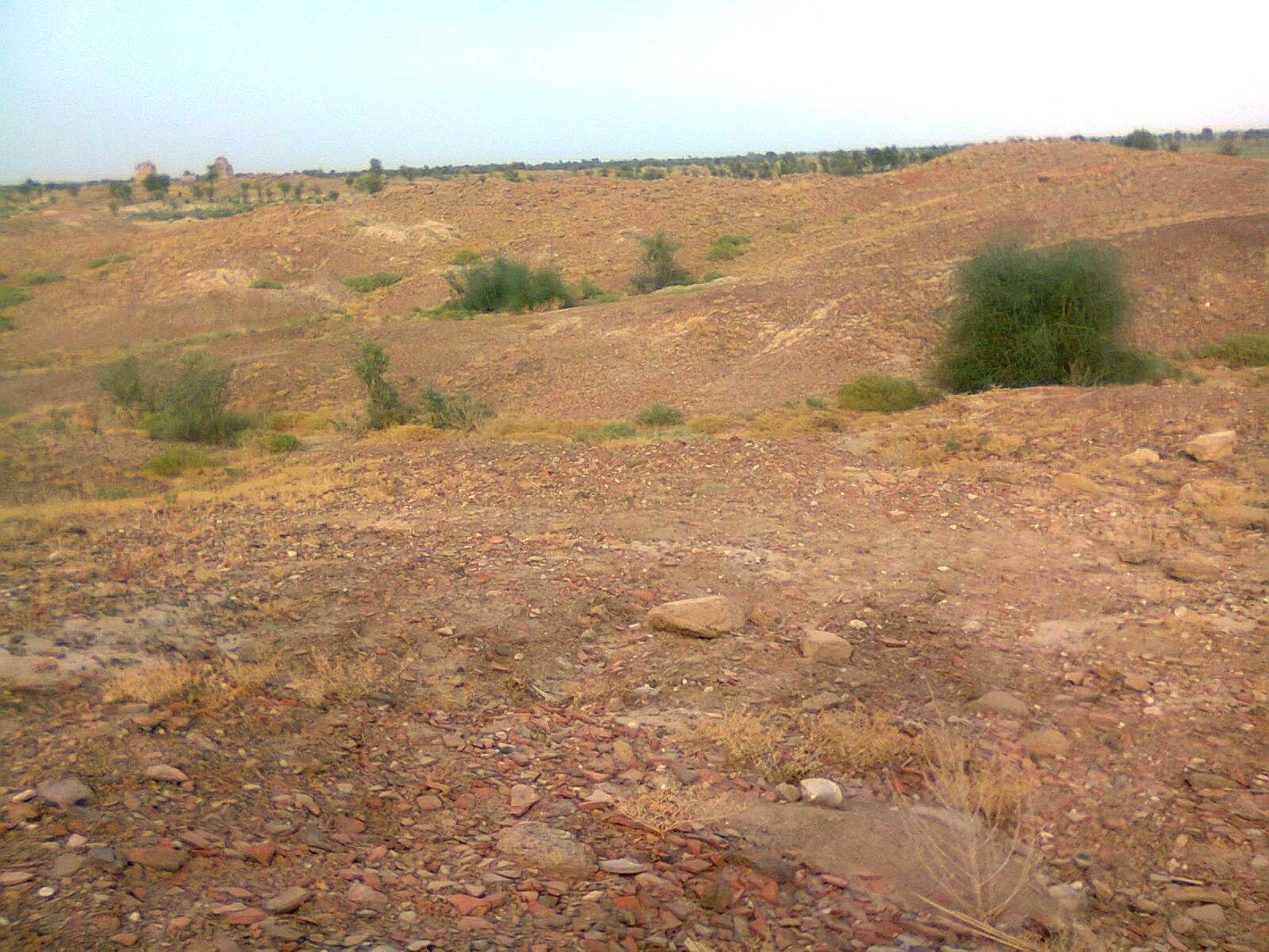 Steppe - HD Wallpaper 