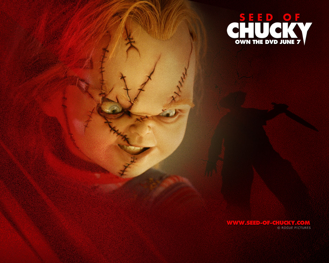 Seed Of Chucky - Seed Of Chucky Chucky - HD Wallpaper 
