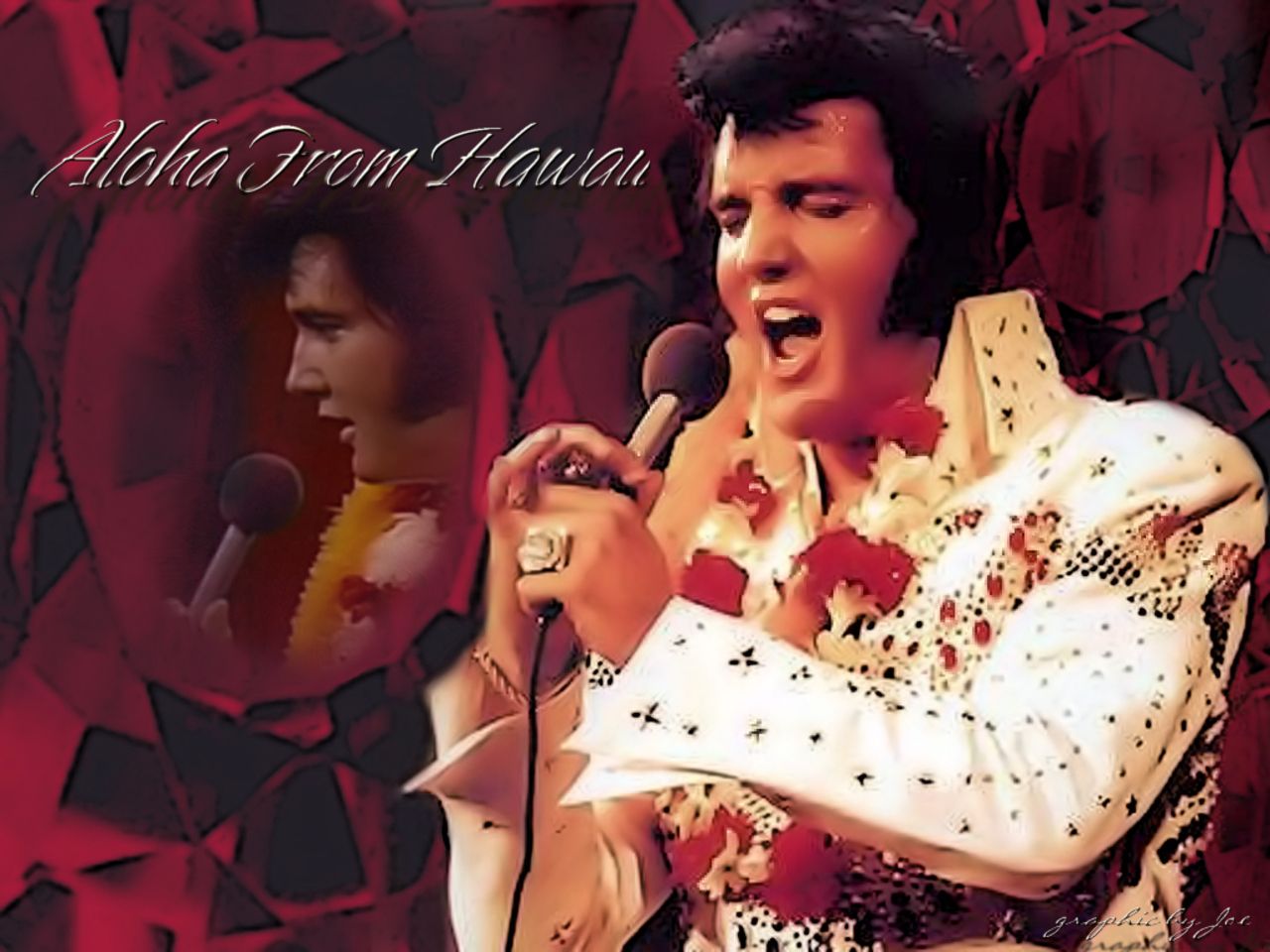 Elivs Hawaiian Style - Elvis Presley Elvis The Fool - HD Wallpaper 