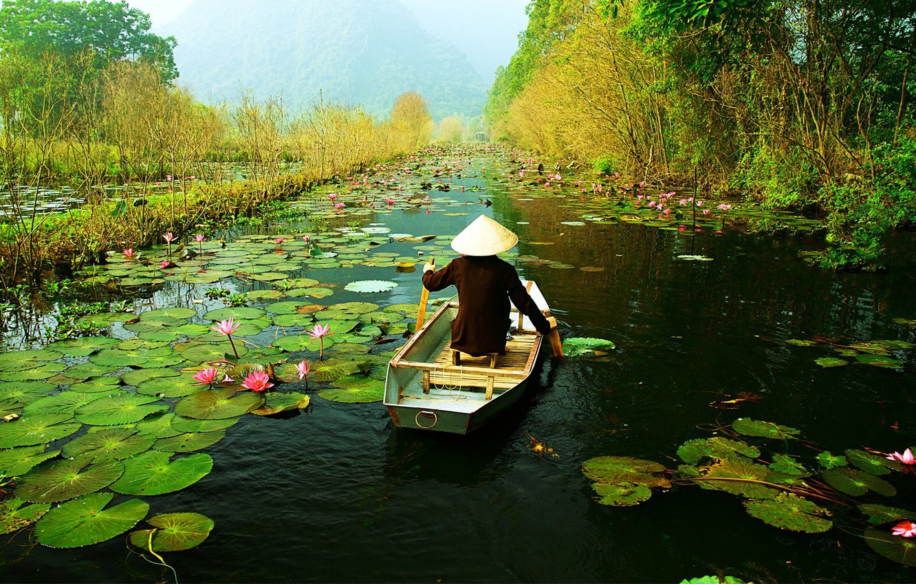 Photo Wallpaper Leaves, Flowers, River, Boat, Lotus, - Vietnam River - HD Wallpaper 