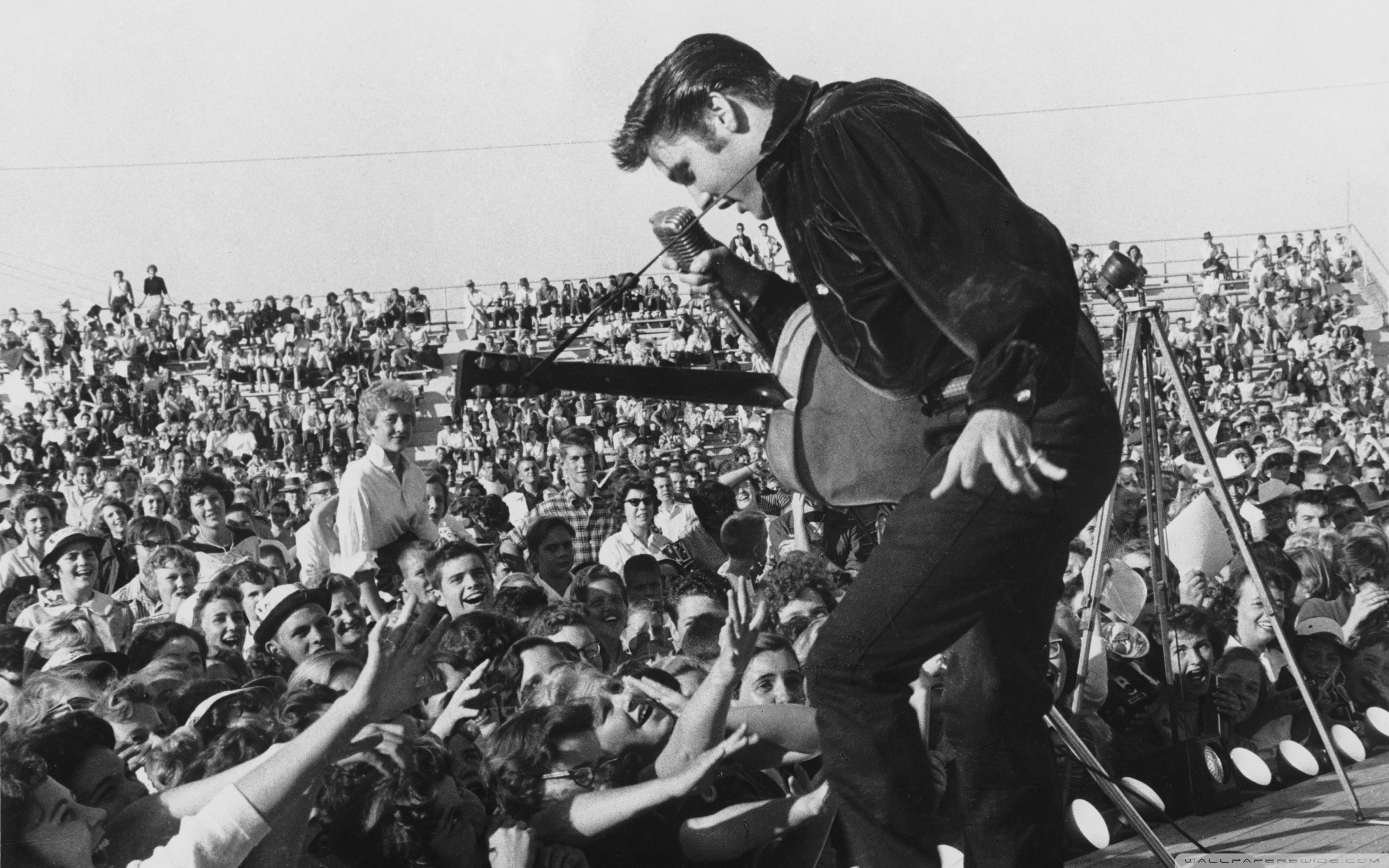 Rock N Roll Fans - HD Wallpaper 