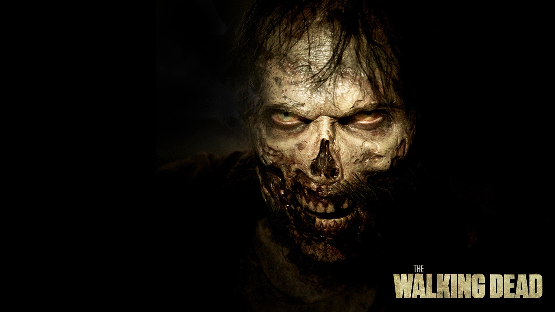 Walking Dead Wallpaper Zombie - HD Wallpaper 
