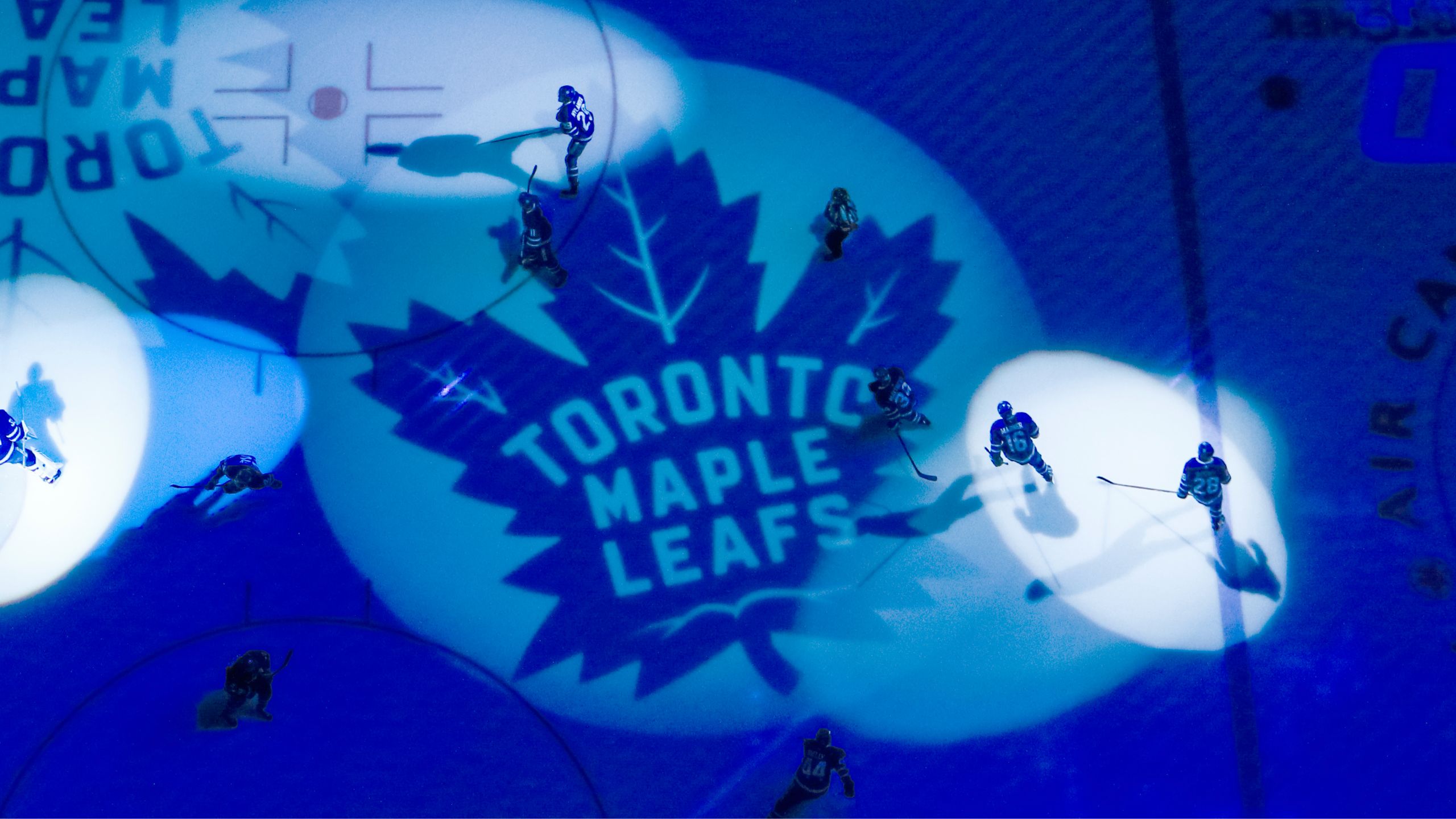 2019 Toronto Maple Leafs - HD Wallpaper 