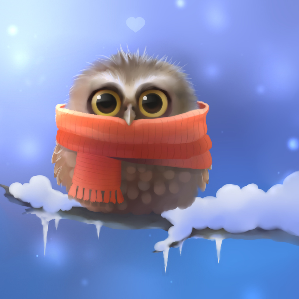 Cute Winter Cover Photos For Facebook - 1024x1024 Wallpaper 