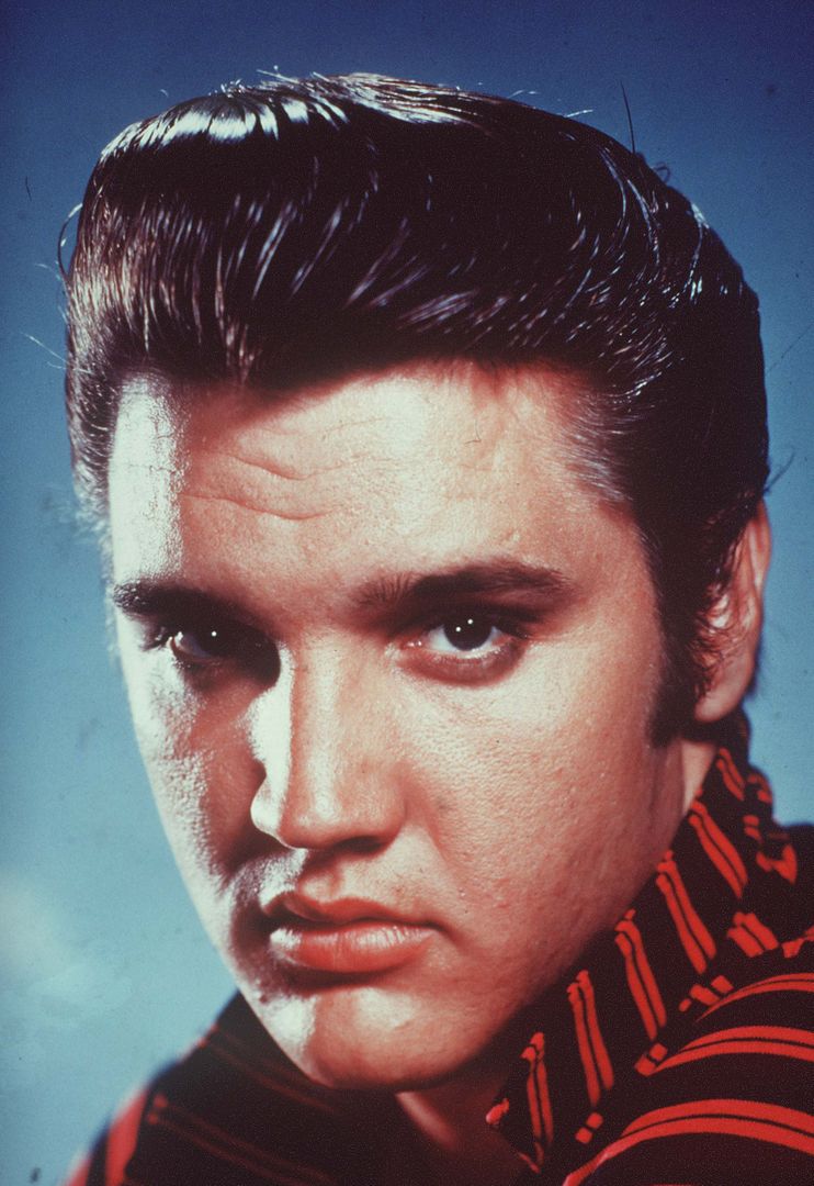 Elvis Presley - Picture Colection - Luis Presley - HD Wallpaper 