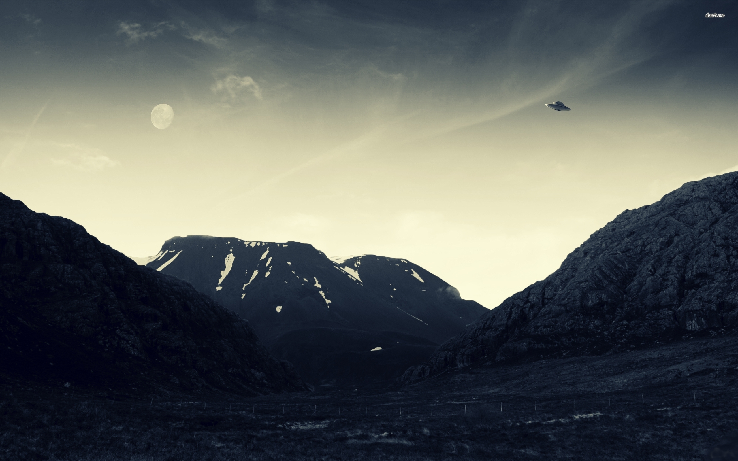 Wallpaper - HD Wallpaper 