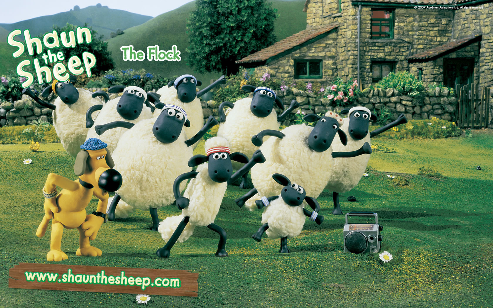 Shaun The Sheep - Timmy Time Shaun The Sheep - HD Wallpaper 