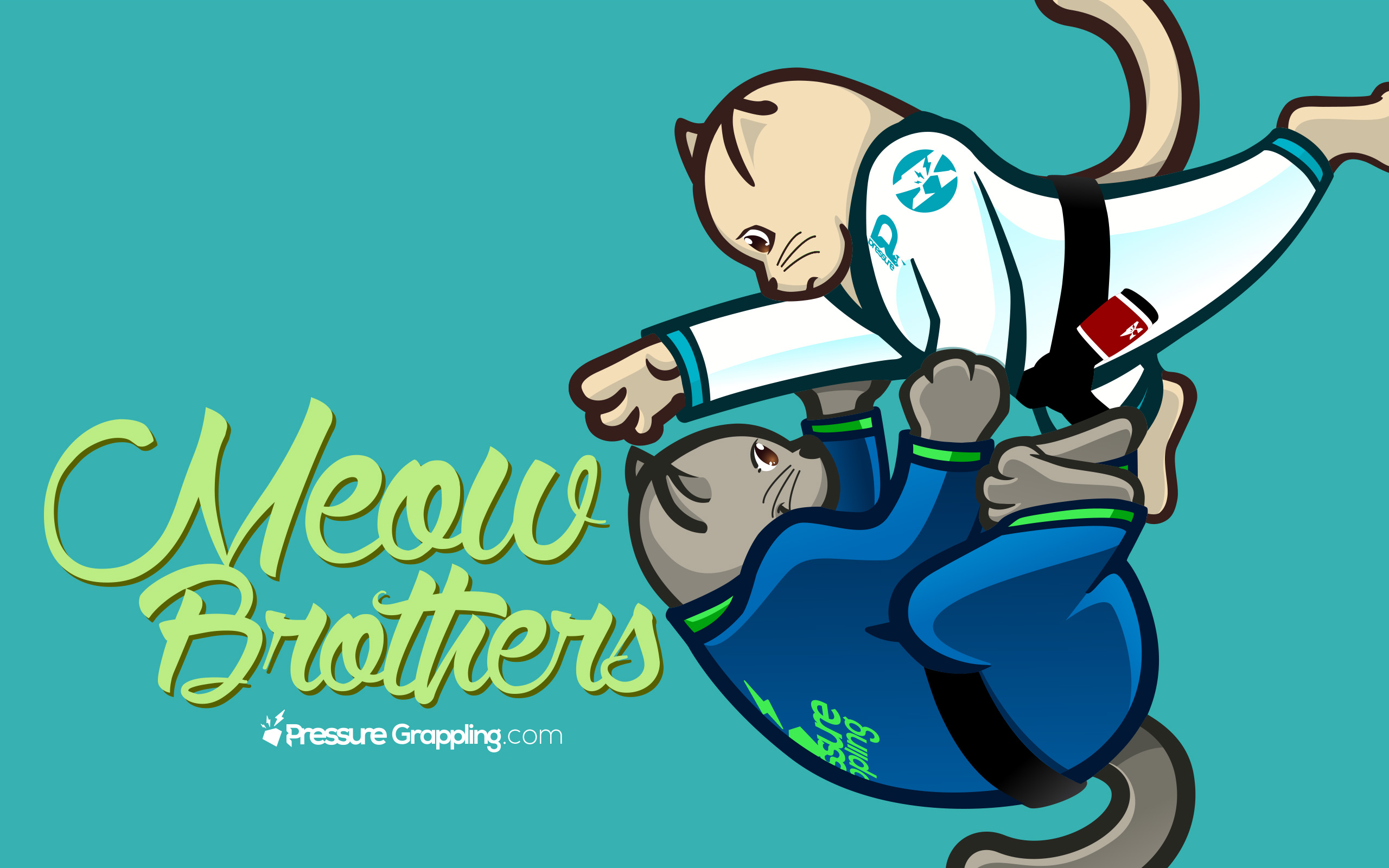 Brazilian Jiu-jitsu - HD Wallpaper 