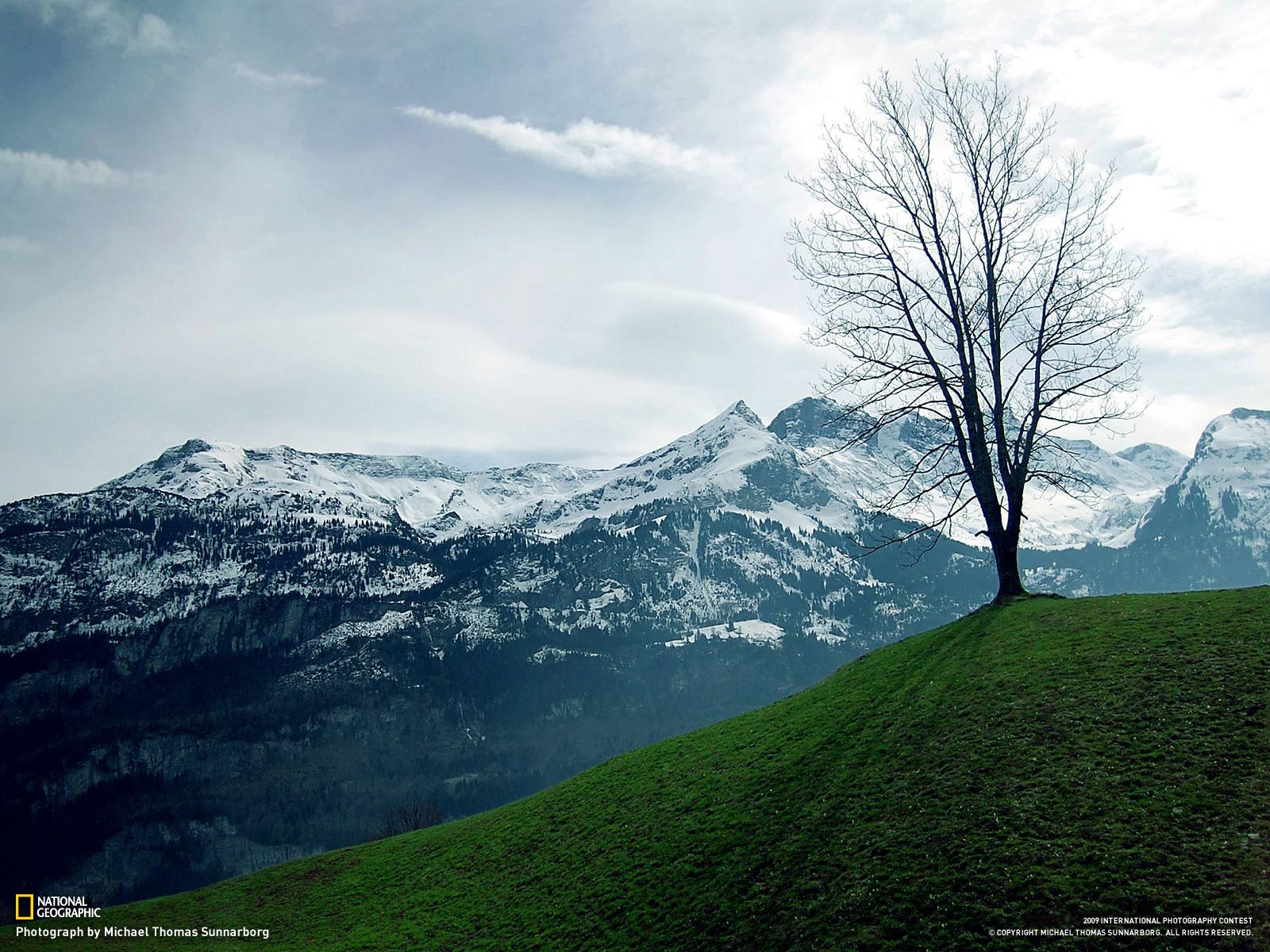 Nat Geo Wallpaper 5 - Dead Tree Wallpaper Iphone - HD Wallpaper 