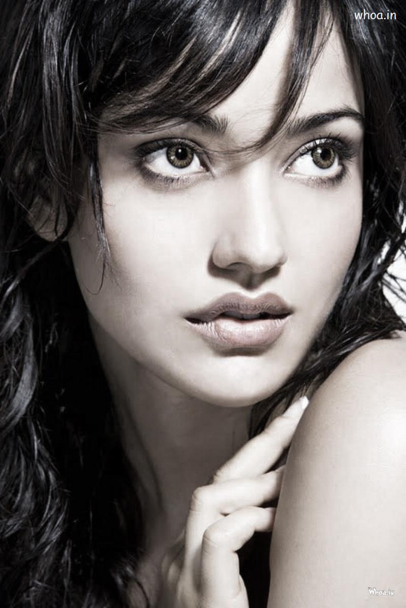 Wallpaper And Hd Image Of A Bollywood Heroine Neha - Beautiful Heroine Hd Photos Download - HD Wallpaper 