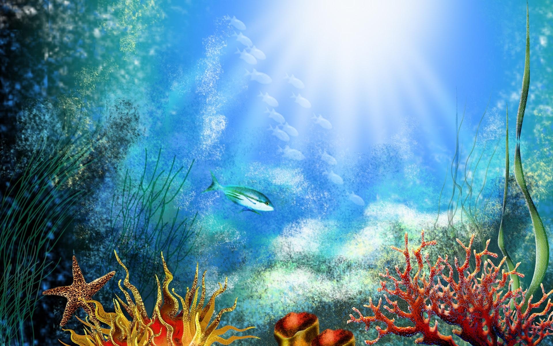 Aquarium Fish Background - HD Wallpaper 