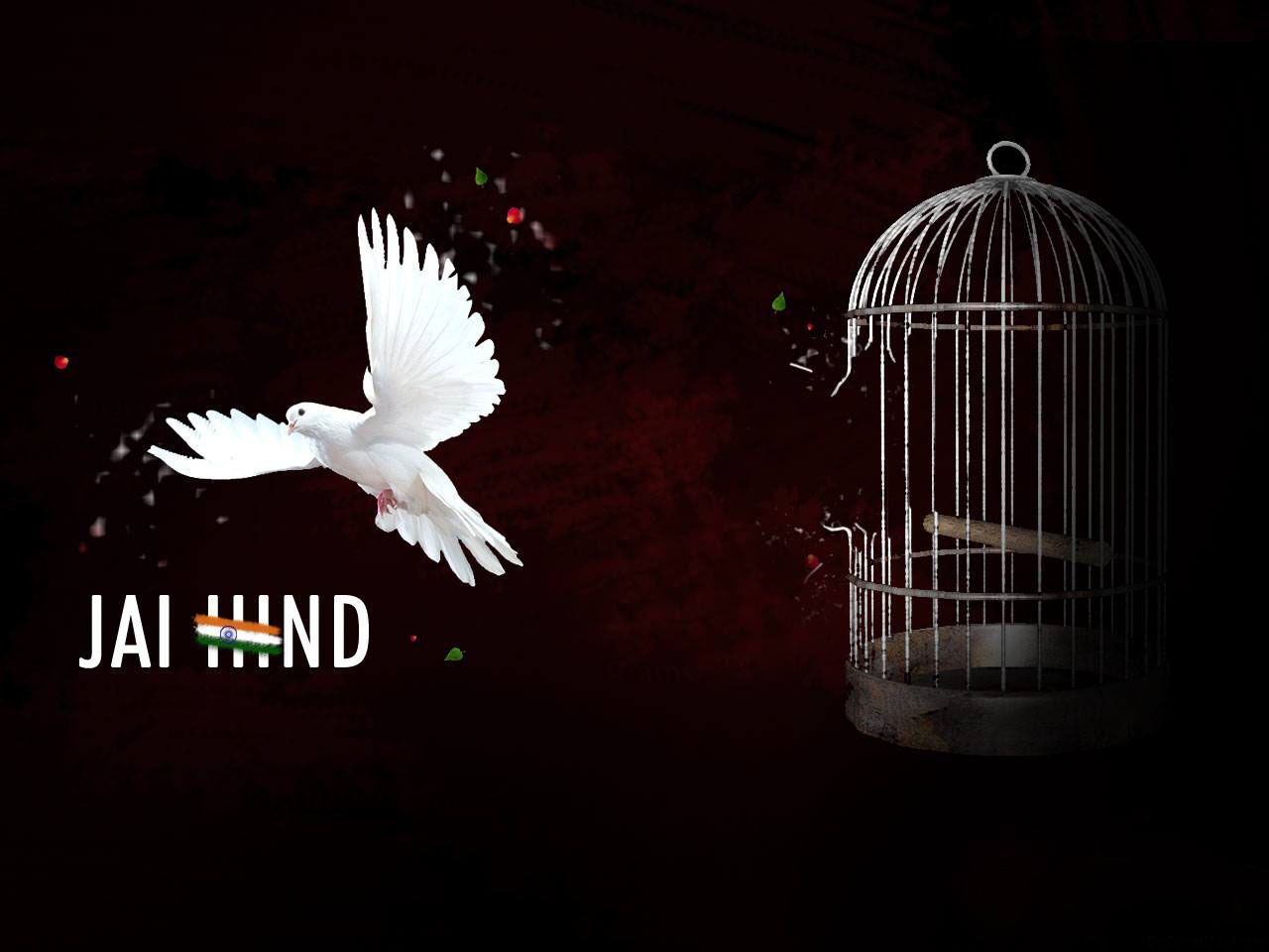 India Independence Day Freedom - HD Wallpaper 