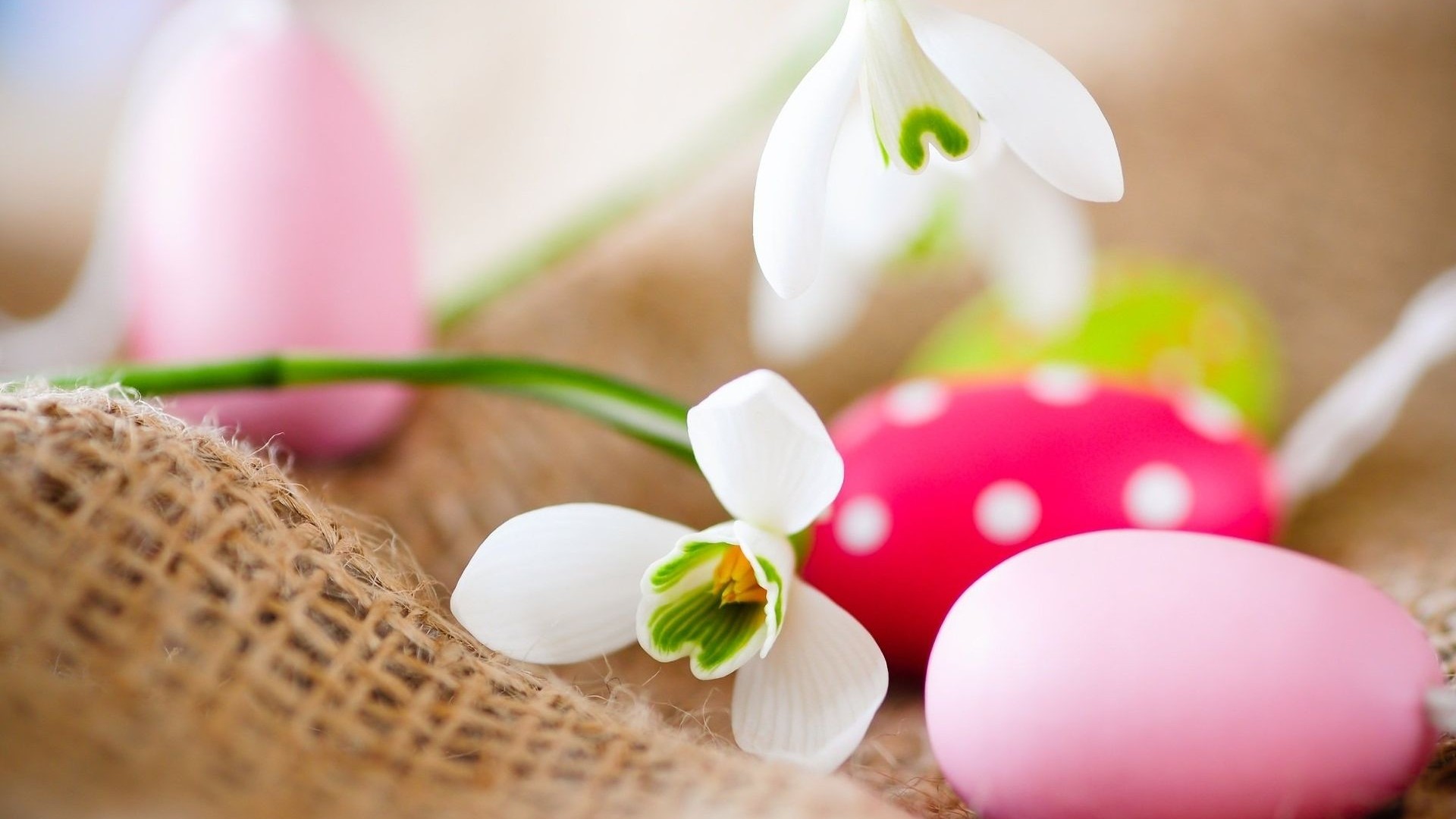 Happy Easter Wallpaper Hd - HD Wallpaper 