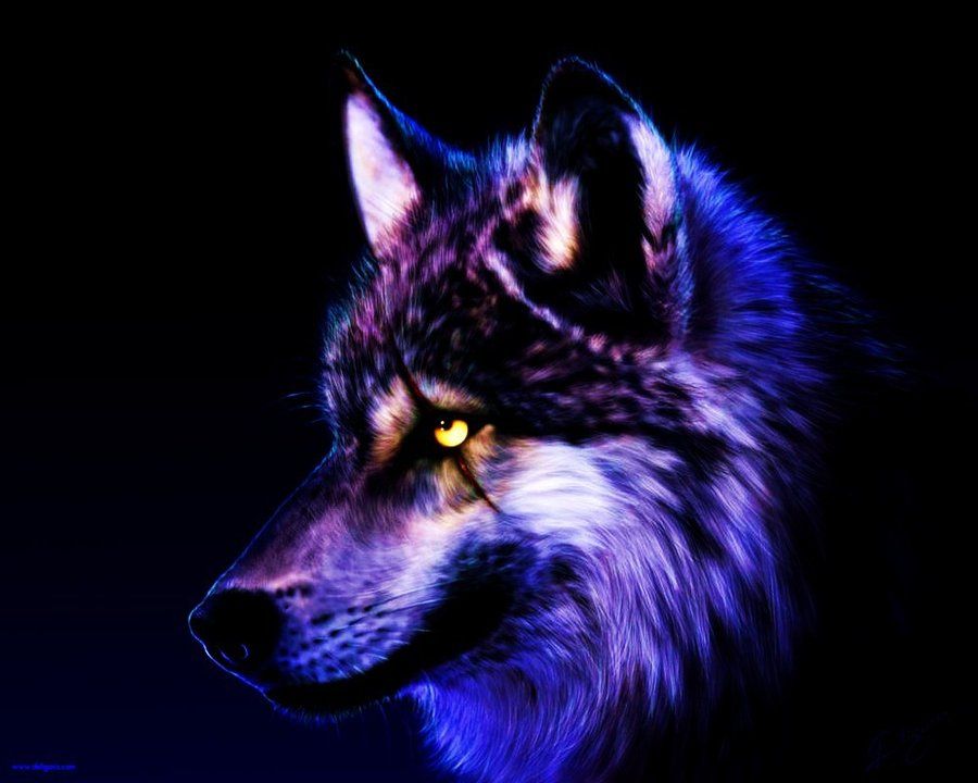 Cool Backgrounds Of Wolfs - HD Wallpaper 