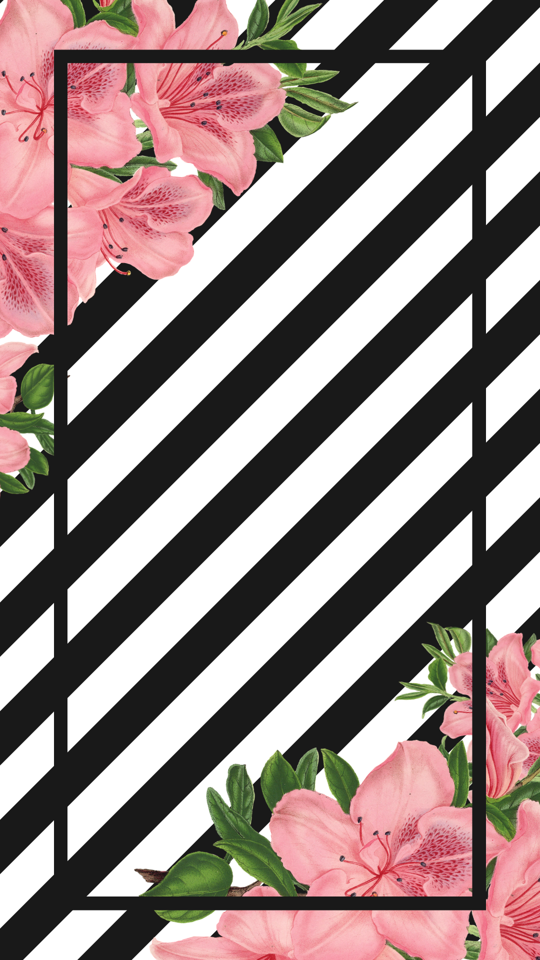 Papel De Parede Floral - HD Wallpaper 