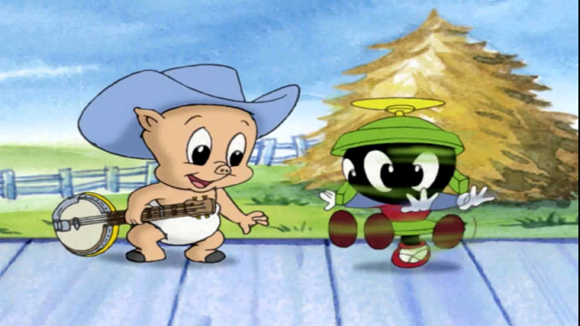 Final Desenho Baby Looney Tunes 
 Data Src Vertical - Baby Looney Tunes Porky - HD Wallpaper 