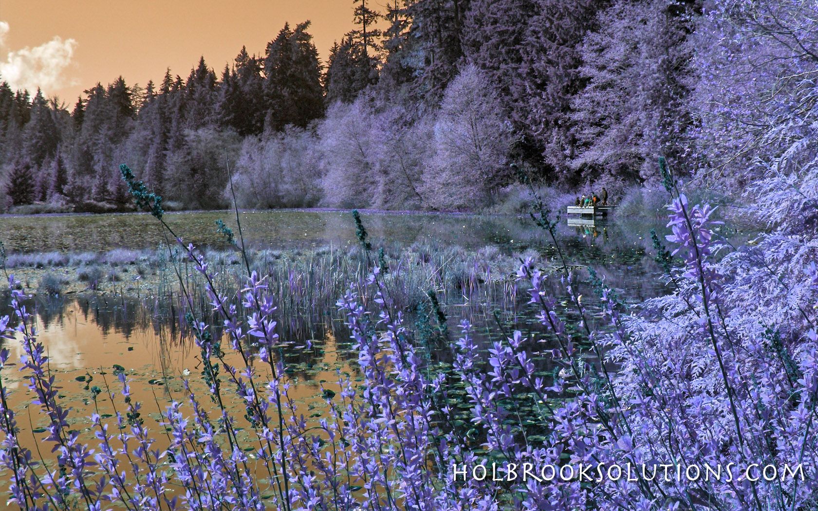 Beaver Lake - HD Wallpaper 