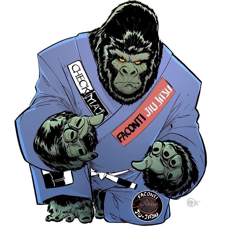 Macaco Jiu Jitsu - HD Wallpaper 