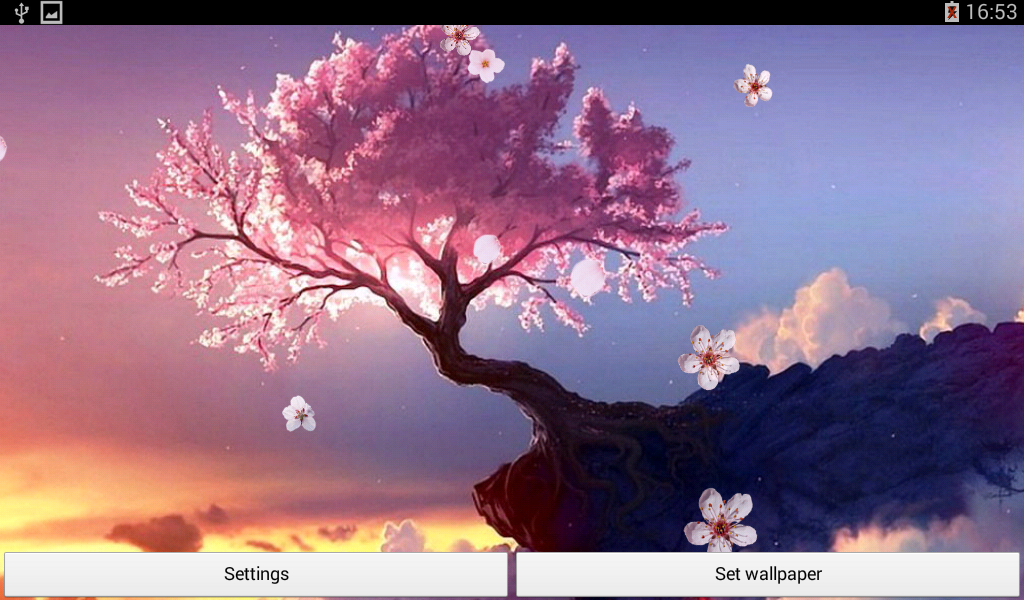 Anime Cherry Blossom Tree - HD Wallpaper 